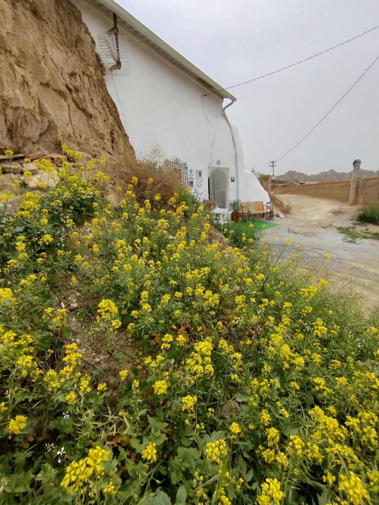 Cueva La Loli Villa Guadix Eksteriør bilde