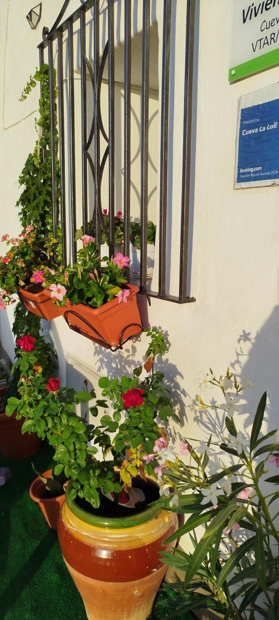 Cueva La Loli Villa Guadix Eksteriør bilde